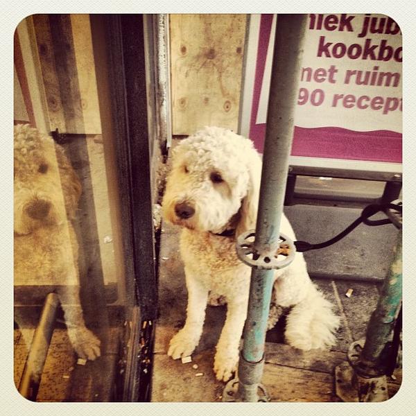 Photo taken at Albert Heijn by Ria B. on 6/4/2012-荷兰阿姆斯特丹亥姆霍兹街63号 Photo taken at Albert Heijn by Ria B. on 6/4/2012