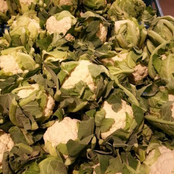 Photo taken at PLUS by Nuno L. on 11/2/2012-荷兰乌特勒支阿默斯福特 Photo taken at PLUS by Nuno L. on 11/2/2012