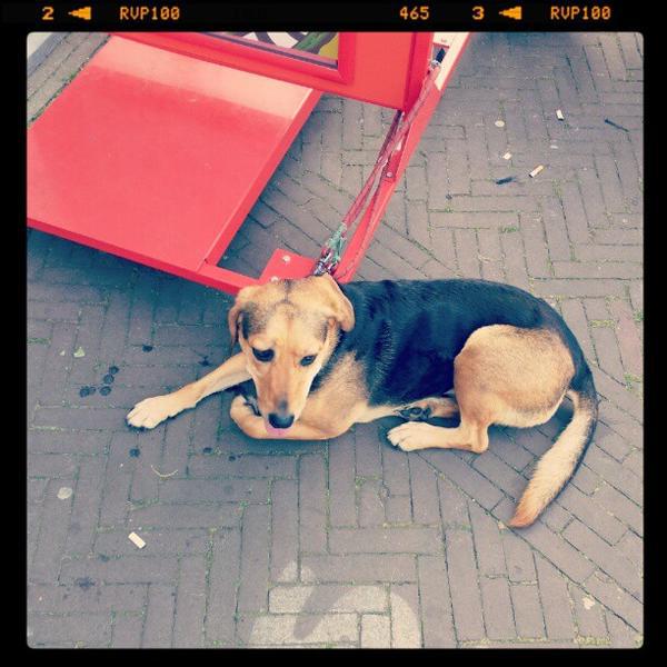 Photo taken at PLUS by Johan L. on 9/8/2012-荷兰乌特勒支阿默斯福特 Photo taken at PLUS by Johan L. on 9/8/2012