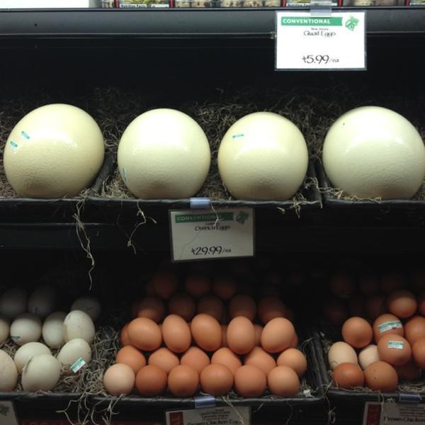 Photo taken at Whole Foods Market by Georgia R. on 8/2/2012