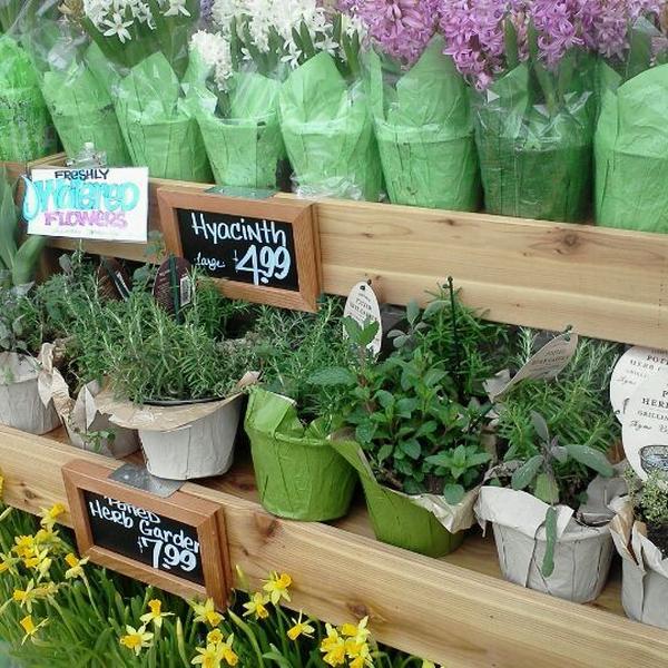 Photo taken at Trader Joe's by Mickey R. on 4/26/2012-维吉尼亚州维珍妮亚海滩希尔托普地区503号 Photo taken at Trader Joe's by Mickey R. on 4/26/2012