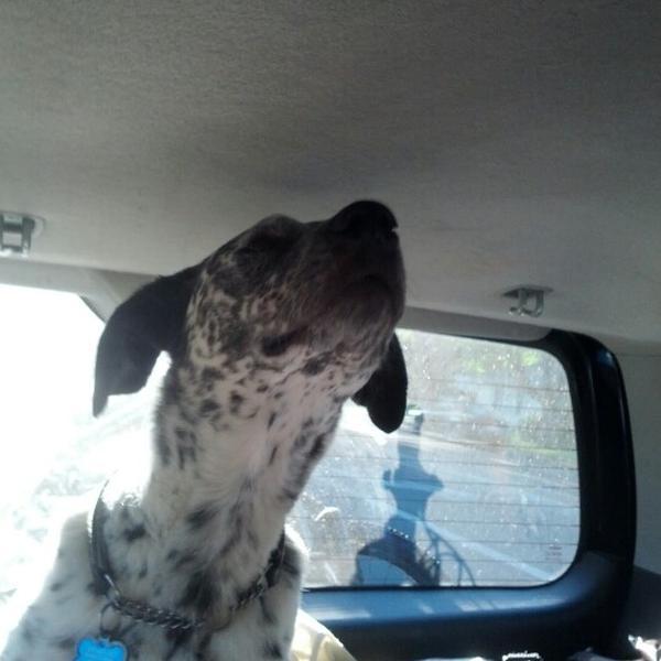 Photo taken at Trader Joe's by David B. on 9/1/2012