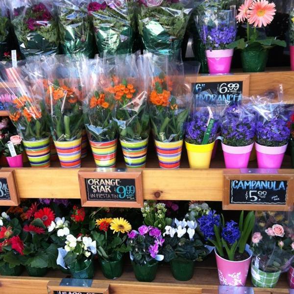 Photo taken at Trader Joe's by Karyn C. on 4/18/2012