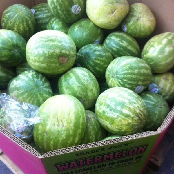 Photo taken at Trader Joe's by Jackie Lea S. on 7/16/2012-加尼福尼亚 坎贝尔巴斯科姆大道1875(达E·坎贝尔大道) Photo taken at Trader Joe's by Jackie Lea S. on 7/16/2012