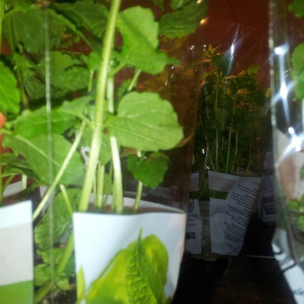 Photo taken at Albert Heijn by Sietse v. on 9/21/2012-荷兰乌特勒支阿姆斯特丹东南街之隔367号 Photo taken at Albert Heijn by Sietse v. on 9/21/2012