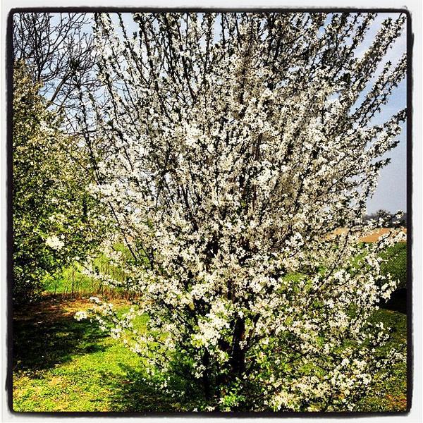 Photo taken at BILLA by Donald T. on 4/5/2012