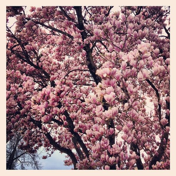 Photo taken at BILLA by Donald T. on 4/17/2012