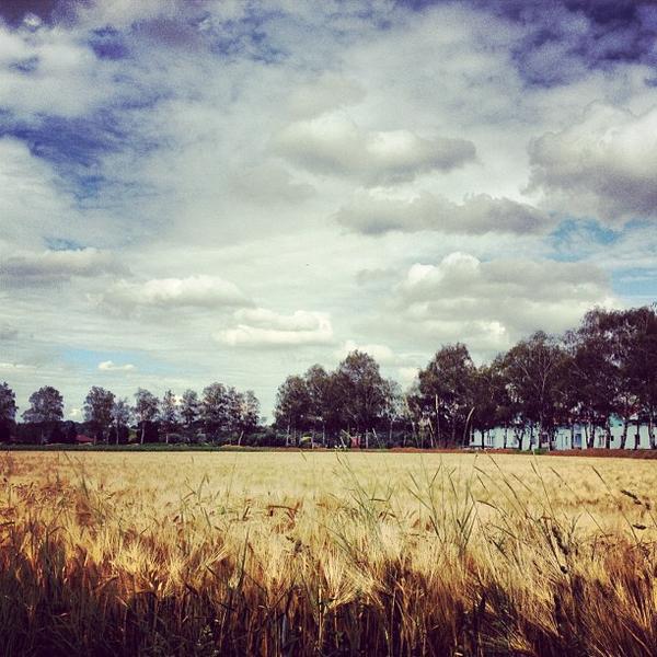 BILLA图片库 BILLA图片库