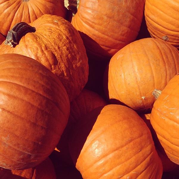 Photo taken at Trader Joe's by Lisa on 9/22/2013