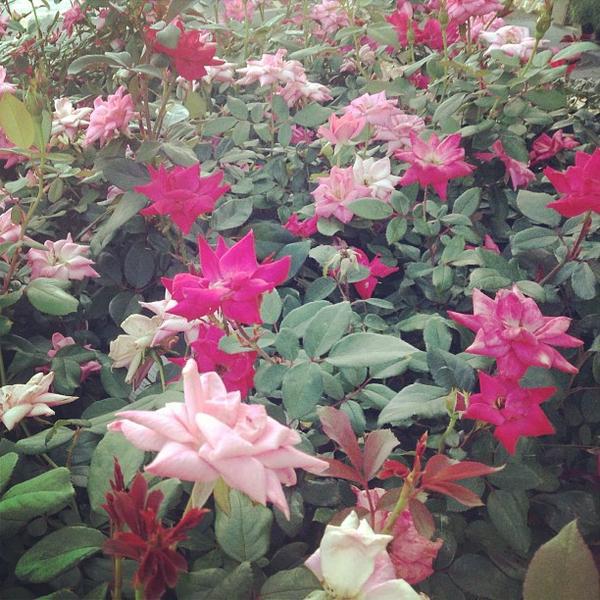 Photo taken at Whole Foods Market by Crystal on 9/27/2013