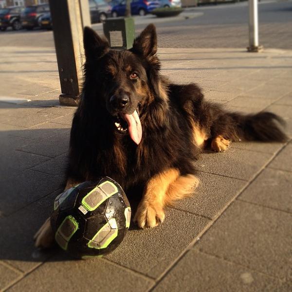 Photo taken at PLUS by Andre S. on 3/15/2012