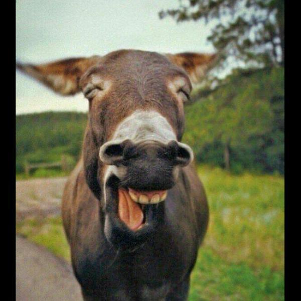 Photo taken at Albert Heijn by Bas V. on 3/2/2013-荷兰弗莱福兰省阿尔梅勒安汶街2008号 Photo taken at Albert Heijn by Bas V. on 3/2/2013