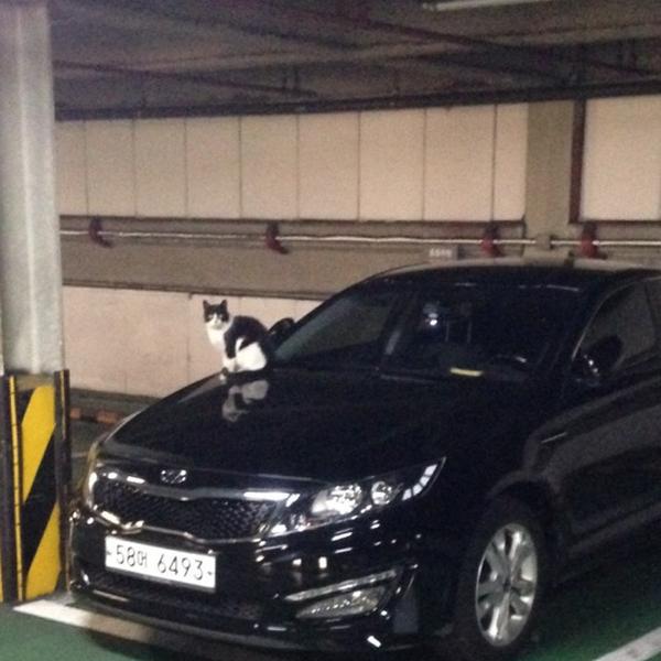 Photo taken at 이마트 (E-Mart) by HONG S. on 3/5/2014-济州市塔洞38易买得超市 Photo taken at 이마트 (E-Mart) by HONG S. on 3/5/2014