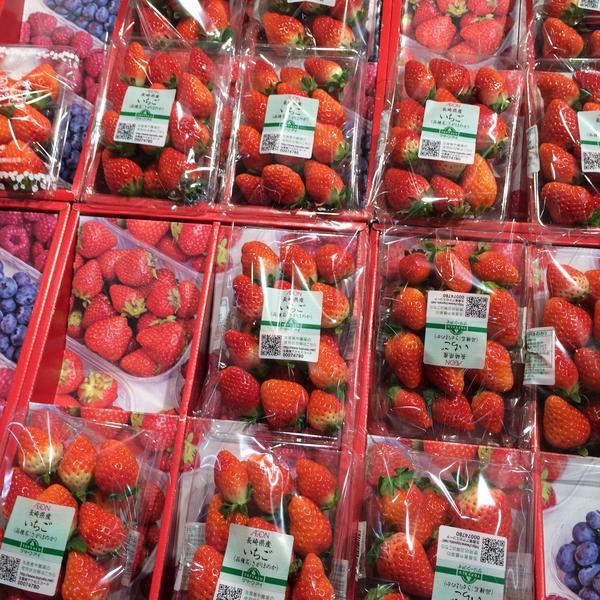 AEON LOUNGE永旺富山店 石川县河北市永旺商城 吉之岛超市