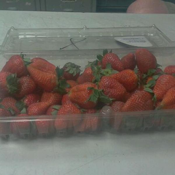 Photo taken at Trader Joe's by Michael H. on 1/7/2012-美国马萨诸塞州弗雷明汉伍斯特路659 Photo taken at Trader Joe's by Michael H. on 1/7/2012