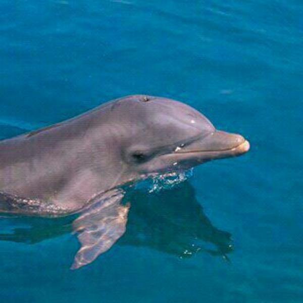 Photo taken at Trader Joe's by Darrell L. on 3/16/2012-美国马萨诸塞州弗雷明汉伍斯特路659 Photo taken at Trader Joe's by Darrell L. on 3/16/2012