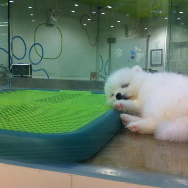 Photo taken at 이마트 (e-mart) by 김원석 on 7/13/2012