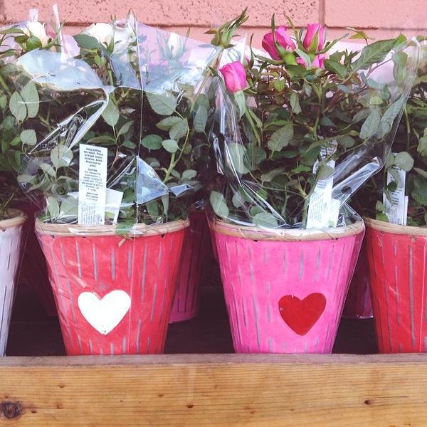 Photo taken at Trader Joe's by Dariela C. on 2/15/2014