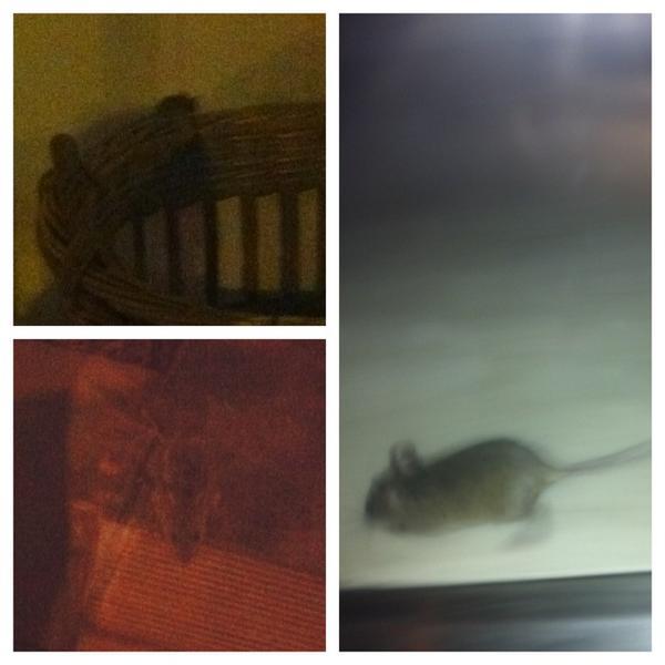 Photo taken at Monoprix by benoit d. on 3/16/2013