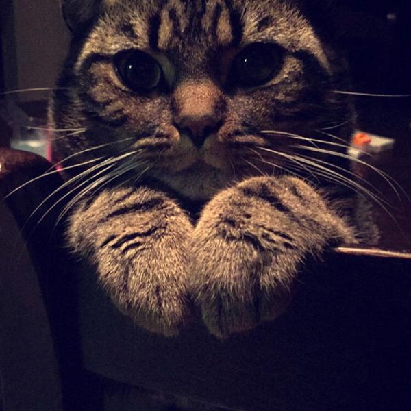 Photo taken at Colruyt by Stewie L. on 4/4/2015