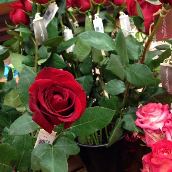 Photo taken at Wegmans by Abdulrahman A. on 2/9/2014