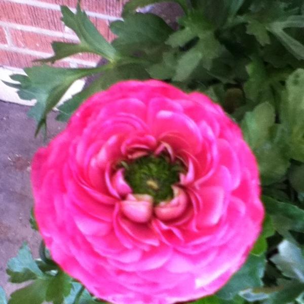 Photo taken at Trader Joe's by Jenna D. on 3/16/2012