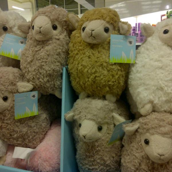 Photo taken at Loblaws by Andrea C. on 3/4/2013