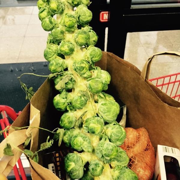 Photo taken at Trader Joe's by Stefanie S. on 11/17/2014