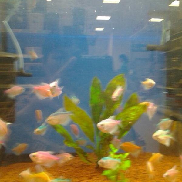 Photo taken at 롯데마트 (LOTTE Mart) by H.J on 9/16/2012