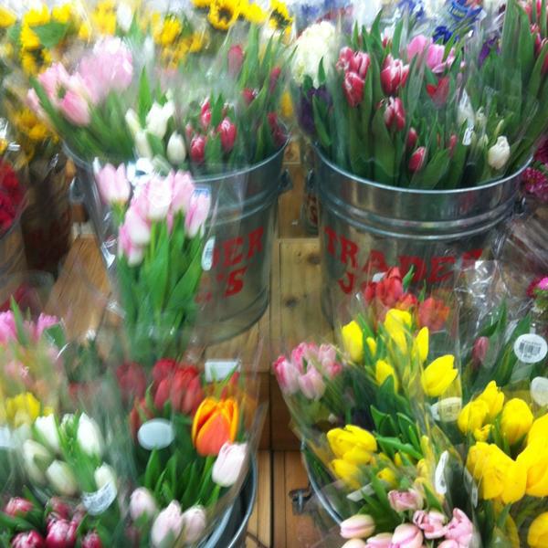 Photo taken at Trader Joe's by Kate A. on 2/4/2013