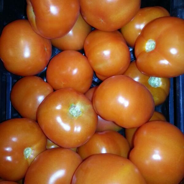 Photo taken at Albert Heijn by Swen B. on 1/27/2013-荷兰南荷兰省鹿特丹奥德迪杰克149号 Photo taken at Albert Heijn by Swen B. on 1/27/2013