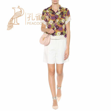 Chloe/蔻依chloe女包16新款时尚休闲简约单肩斜跨小猪包P00158980