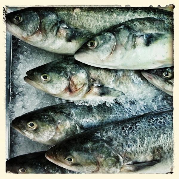 Photo taken at PAK'nSAVE by teachernz on 10/27/2013