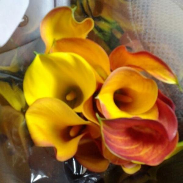 Photo taken at Trader Joe's by Lo-lo S. on 4/16/2012