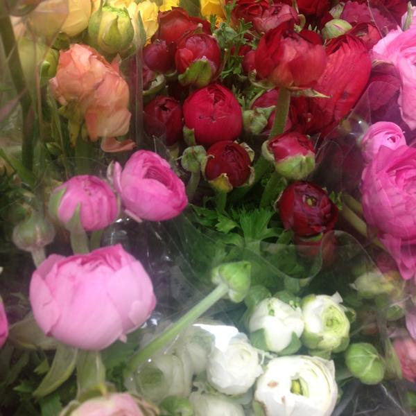 Photo taken at Trader Joe's by Lisa A. on 3/26/2013