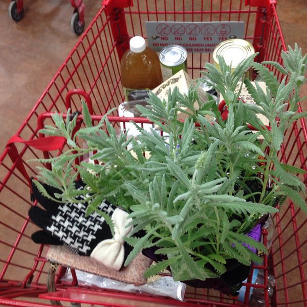 Photo taken at Trader Joe's by Marisa M. on 2/17/2015