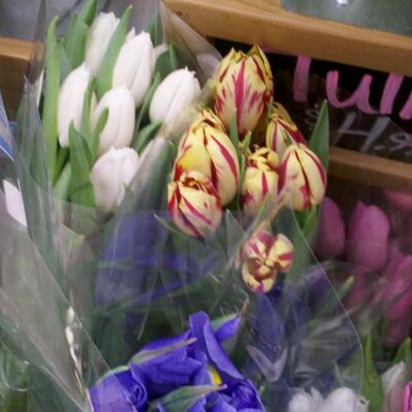 Photo taken at Trader Joe's by Duyen F. on 3/30/2012