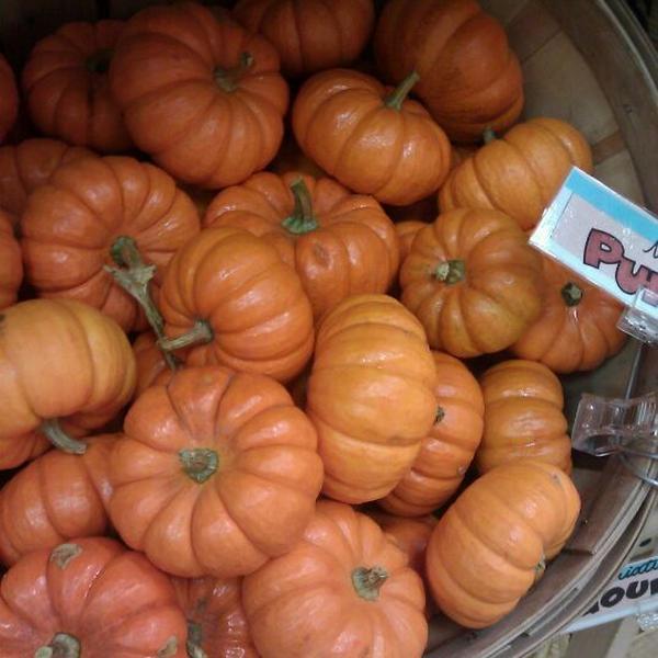 Photo taken at Trader Joe's by Carrie C. on 9/25/2011-美国密歇根州安娜堡体育场大道西2398 Photo taken at Trader Joe's by Carrie C. on 9/25/2011