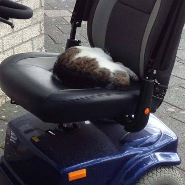 Photo taken at Albert Heijn by Elma on 8/4/2012