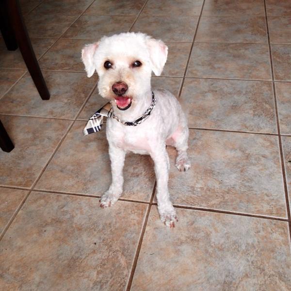 加拿大百货Shoppers Drug Mart药妆基秦拿店图片库 加拿大百货Shoppers Drug Mart药妆基秦拿店图片库