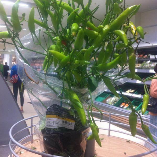 Photo taken at Waitrose by Gen A. on 5/3/2013