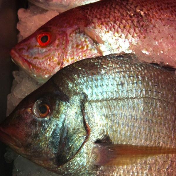 Photo taken at Whole Foods Market by Marina R. on 5/5/2013