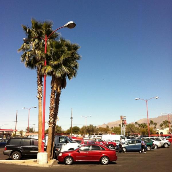 Photo taken at Trader Joe's by Stephanie Nicole M. on 3/1/2012-美国阿利桑那州图森格兰特路东4766 Photo taken at Trader Joe's by Stephanie Nicole M. on 3/1/2012