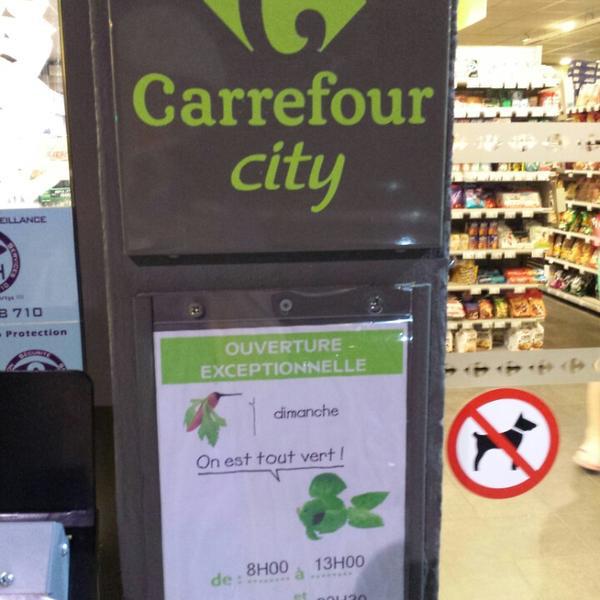 Carrefour 法国南部-比利牛斯尼斯乐庞特路8