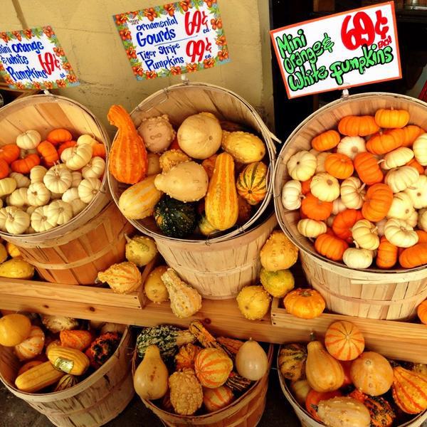Photo taken at Trader Joe's by Fernanda F. on 9/27/2014-加尼福尼亚洛杉矶塞普尔维达大道3456(在棕榈大道) Photo taken at Trader Joe's by Fernanda F. on 9/27/2014