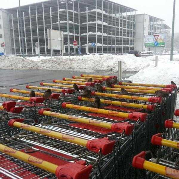 Photo taken at BILLA by Florian F. on 1/20/2013