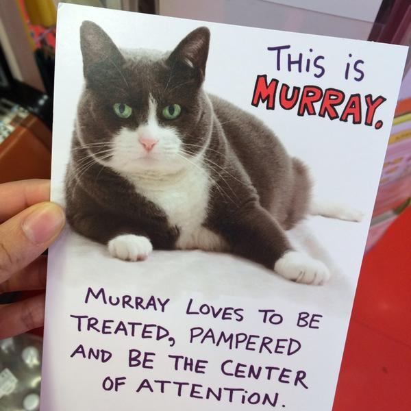 Photo taken at Whole Foods Market by Mary Anne R. on 11/30/2013-麻萨诸塞州萨默威尔灯塔街45号 Photo taken at Whole Foods Market by Mary Anne R. on 11/30/2013