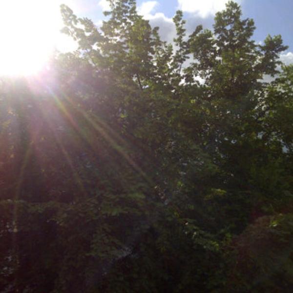 Photo taken at Carrefour by Maja P. on 6/16/2012