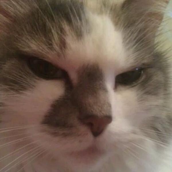 加拿大大牌Shoppers Drug Mart药妆查洛城店图片库 加拿大大牌Shoppers Drug Mart药妆查洛城店图片库