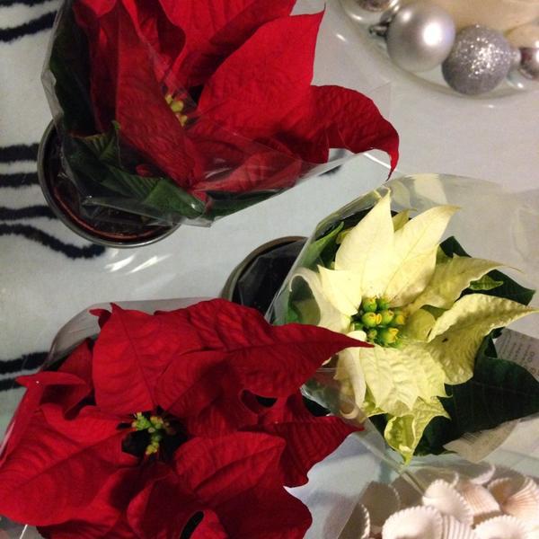 Photo taken at Albert Heijn by Ol L. on 12/1/2014